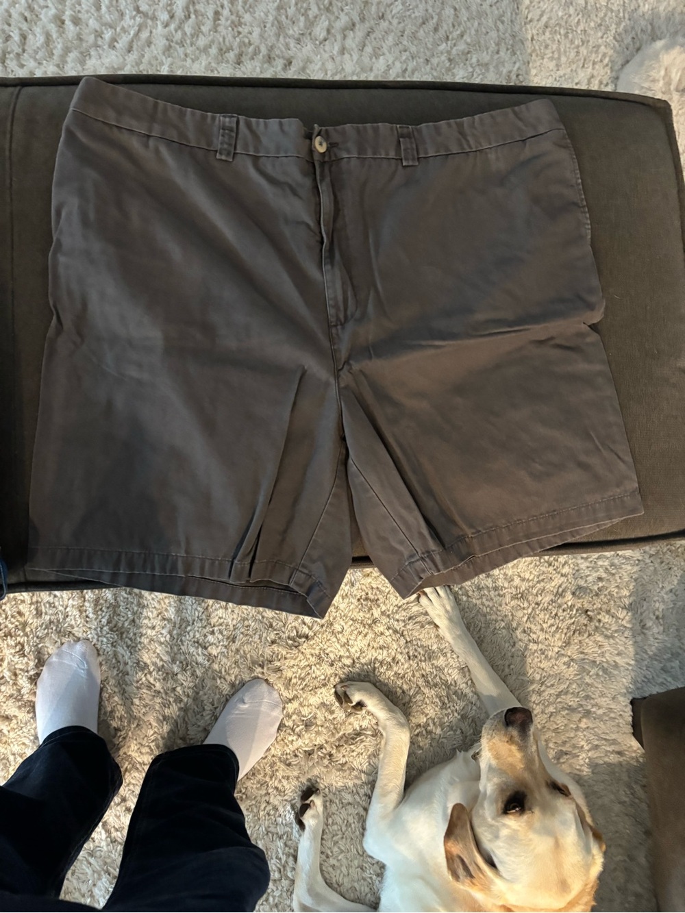 J. Crew Men's Flat Front Chino Shorts - Charcoal Gray